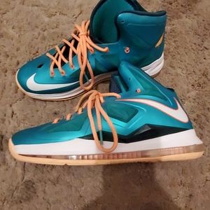 Lebron 10s Miami dolphins